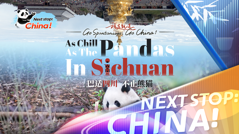 Discovering Sichuan’s ‘Bashi’ Lifestyle: Lessons from Pandas and Ancient Traditions video poster