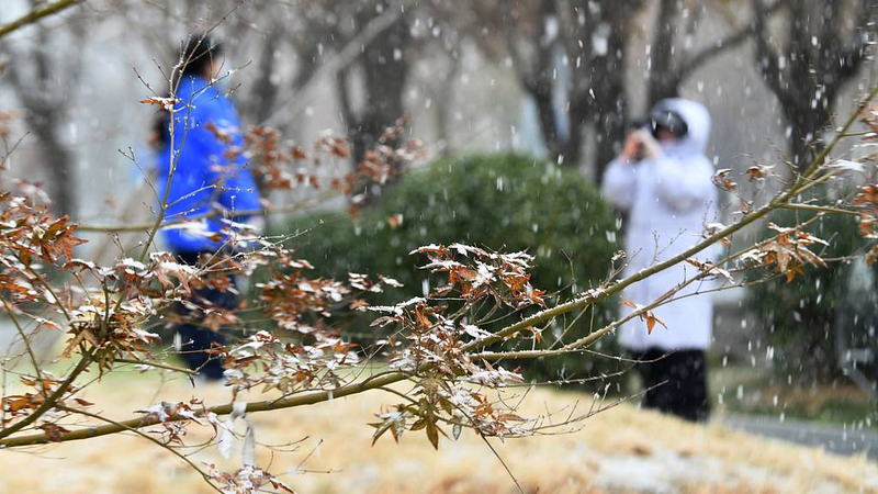 China Braces for Intense Cold Snap as Temperatures Plummet 12°C