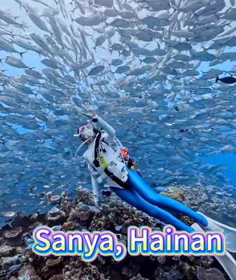 Sanya Emerges as Asia’s Premier Diving Destination in 2025 video poster