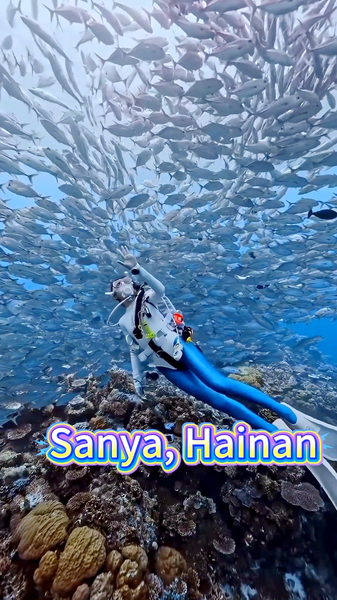 Sanya Emerges as Asia’s Premier Diving Destination in 2025 video poster