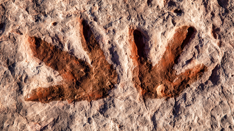 Ancient_Dinosaur_Footprints_Unearthed_in_Southwest_China - Khabar Asia Ancient_Dinosaur_Footprints_Unearthed_in_Southwest_China