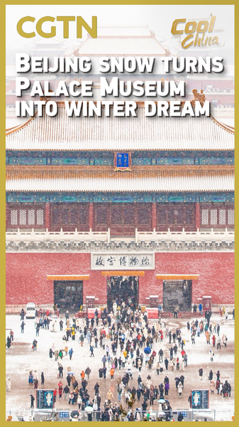 Beijing_s_First_Snow_Transforms_Palace_Museum_into_Winter_Wonderland video poster