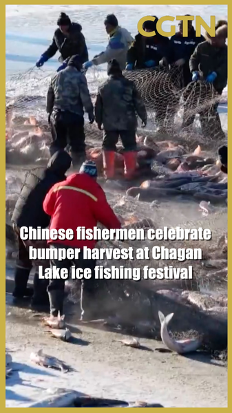 Chagan_Lake_Fishermen_Reap_Bumper_Harvest_at_2025_Ice_Fishing_Festival video poster