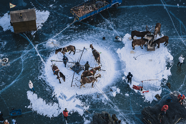 Chagan_Lake_Winter_Fishing_Festival_Kicks_Off_with_Cultural_Splendor video poster