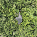 China_Achieves_Forestry_Conservation_Goals_in_14th_Five_Year_Plan