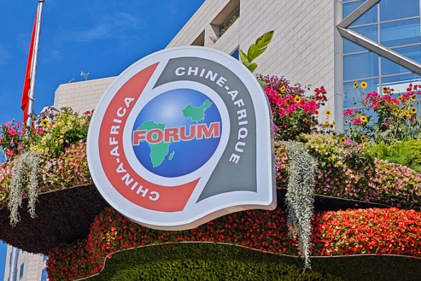 China_Africa_Ties__A_Decade_of_Growth___Partnership