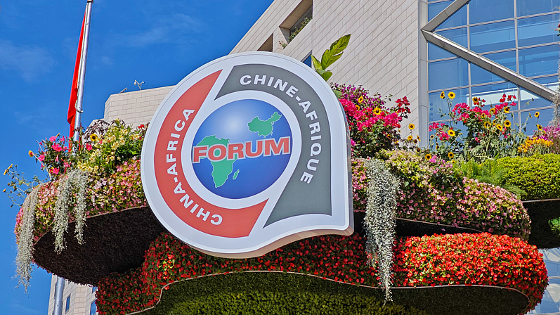 China_Africa_Ties__A_Decade_of_Growth___Partnership