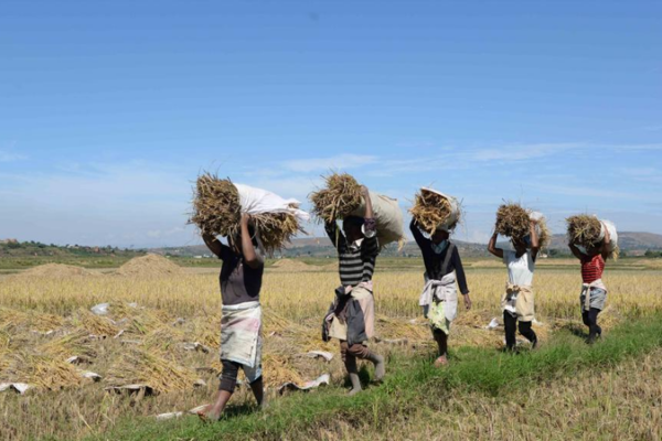 China_Boosts_Global_South_Development_via_UN_Partnership_in_2025