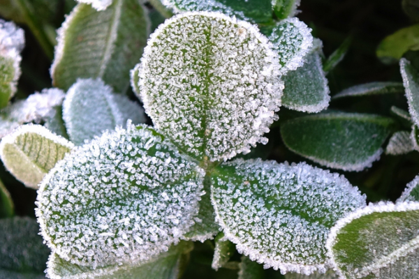 China_Braces_for_First_Major_Snowfall_as_Cold_Wave_Triggers_Nationwide_Alerts