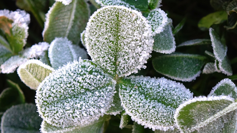 China_Braces_for_First_Major_Snowfall_as_Cold_Wave_Triggers_Nationwide_Alerts - Khabar Asia China_Braces_for_First_Major_Snowfall_as_Cold_Wave_Triggers_Nationwide_Alerts