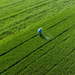 China_Charts_Path_for_Agricultural_Modernization_Amid_Global_Challenges