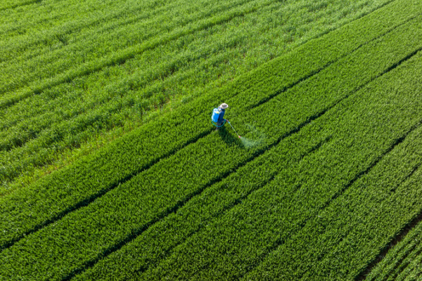 China_Charts_Path_for_Agricultural_Modernization_Amid_Global_Challenges