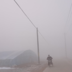 China_Issues_Yellow_Fog_Alert_Across_Multiple_Regions