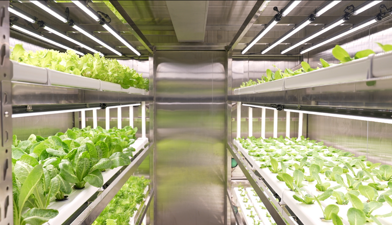 China_Pioneers_Smart_Maritime_Farming_with_Hybrid_Planting_Module video poster