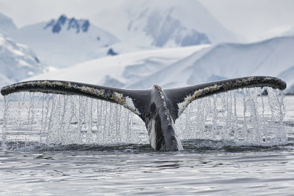 China_Ratifies_Key_UN_Marine_Biodiversity_Pact