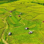 China_Sets_2026_Rural_Revitalization_Agenda_Following_Key_Conference - Khabar Asia China_Sets_2026_Rural_Revitalization_Agenda_Following_Key_Conference