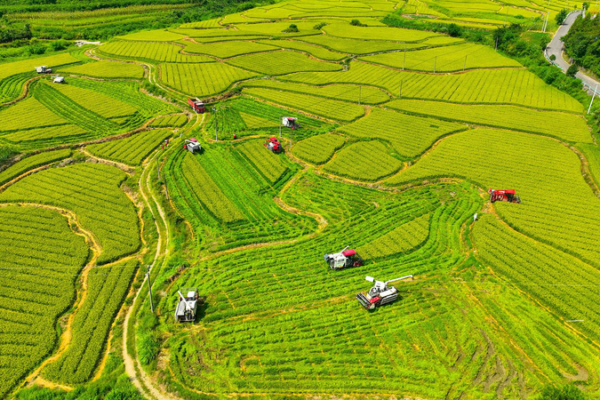 China_Sets_2026_Rural_Revitalization_Agenda_Following_Key_Conference