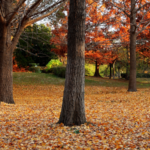 China_Strengthens_Environmental_Legislation_with_Revised_Draft_Code