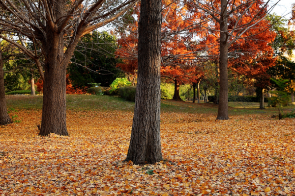 China_Strengthens_Environmental_Legislation_with_Revised_Draft_Code