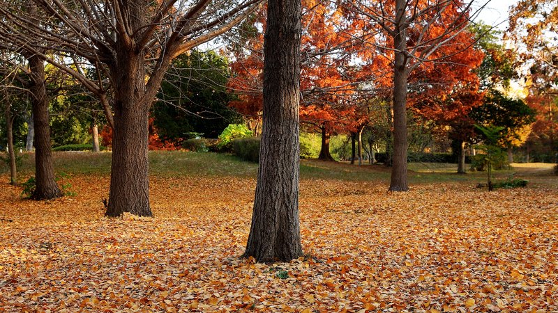 China_Strengthens_Environmental_Legislation_with_Revised_Draft_Code
