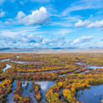 China_Sustains_Over_800_Million_Mu_of_Wetlands_Through_Conservation_Push
