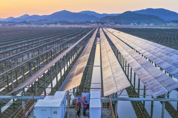 China_Tightens_PV_Industry_Regulations_to_Boost_Quality_Growth_by_2026