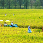 China_s_2025_Development_Strategy_Prioritizes_People_Centered_Growth