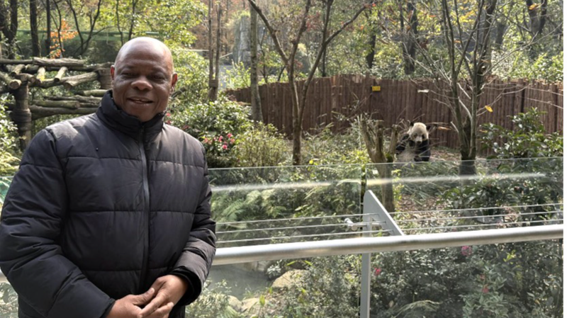 China_s_Panda_Conservation_Success__A_Model_for_Biodiversity_Protection