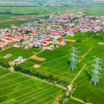 China_s_Rural_Revitalization_2025__Top_10_Milestones_Unveiled