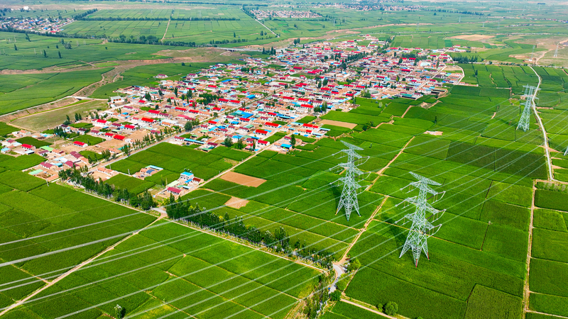 China_s_Rural_Revitalization_2025__Top_10_Milestones_Unveiled