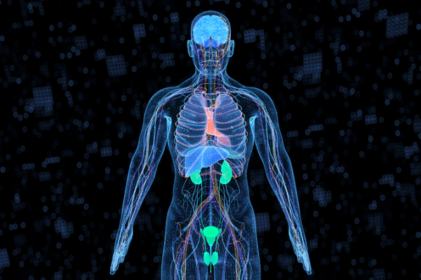 Chinese_Breakthrough_in_Predicting_Human_Organ_Aging_Unveiled