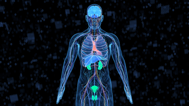Chinese_Breakthrough_in_Predicting_Human_Organ_Aging_Unveiled