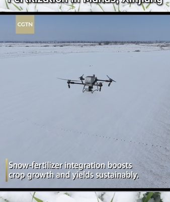 Drones_Revolutionize_Winter_Wheat_Fertilization_in_Xinjiang_s_Manas_County video poster