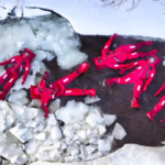 Inner Mongolia's Ice Floating Thrives in -40°C Winter Wonderland