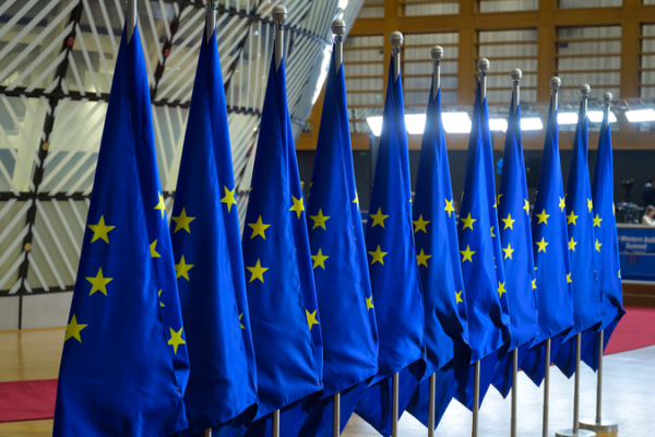 EU_Grapples_with_Legal__Financial_Risks_in_Using_Frozen_Russian_Assets_for_Ukraine