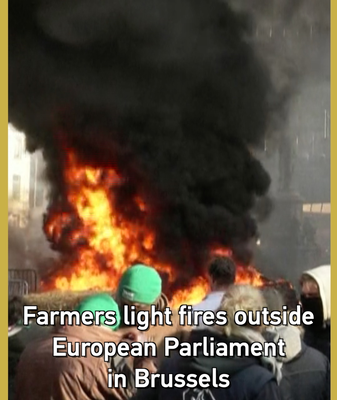 EU_Mercosur_Trade_Protests_Spark_Concerns_for_Asian_Agricultural_Markets video poster