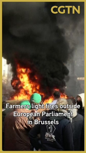EU_Mercosur_Trade_Protests_Spark_Concerns_for_Asian_Agricultural_Markets video poster