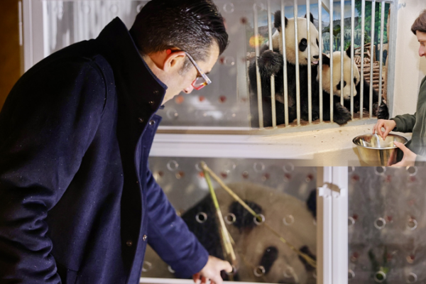 France_to_Welcome_New_Giant_Pandas_in_2027_as_Conservation_Partnership_Renews