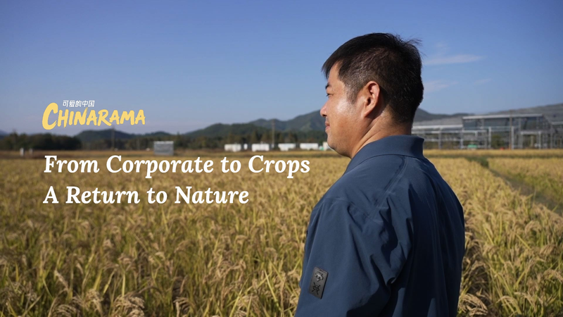 From_Boardroom_to_Farmland__A_Decade_of_Natural_Farming_in_Zhejiang_poster - Khabar Asia From_Boardroom_to_Farmland__A_Decade_of_Natural_Farming_in_Zhejiang video poster