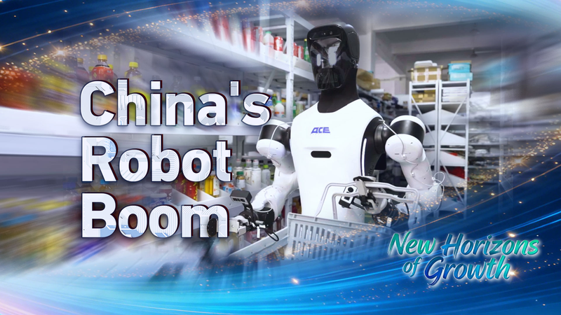 From__Big_Toys__to_Smart_Machines__China_s_Robotics_Revolution_in_2025 video poster