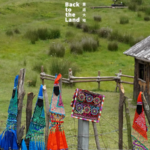 Yi Embroidery: Weaving Nature’s Spirit into Thread