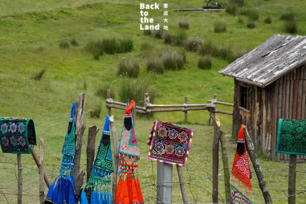 Yi Embroidery: Weaving Nature’s Spirit into Thread