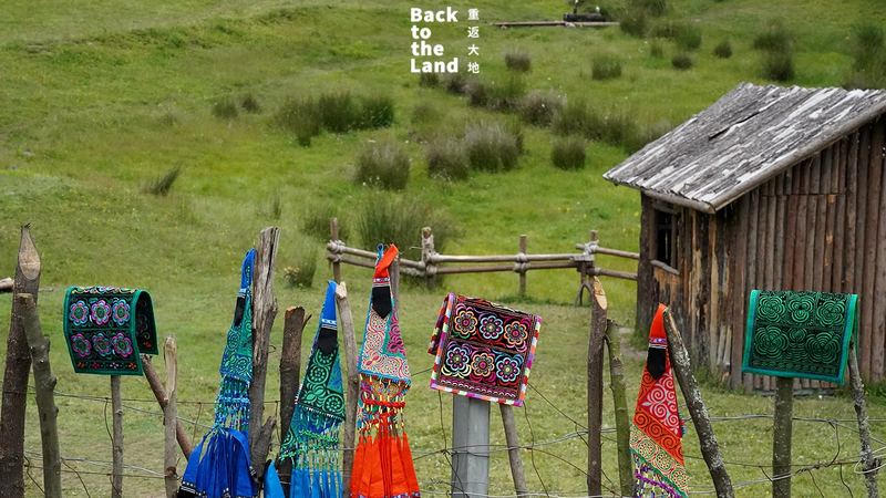 GEFWV7LJ90CYRNZP9JSD - Khabar Asia Yi Embroidery: Weaving Nature’s Spirit into Thread