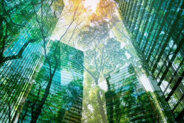 Green_Economy_Set_to_Surpass__7_Trillion_by_2030__WEF_BCG_Report