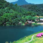 Hainan_s_Fangnuozhai_Rainforest__A_Natural_Oxygen_Bar_Thrives_in_2025 video poster