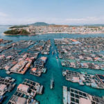 Hainan_s_Floating_Maze__Exploring_500_Years_of_Tanka_Heritage