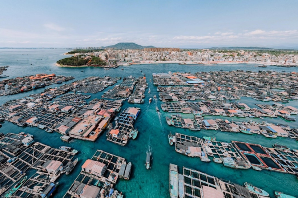 Hainan_s_Floating_Maze__Exploring_500_Years_of_Tanka_Heritage