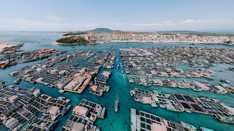 Hainan_s_Floating_Maze__Exploring_500_Years_of_Tanka_Heritage