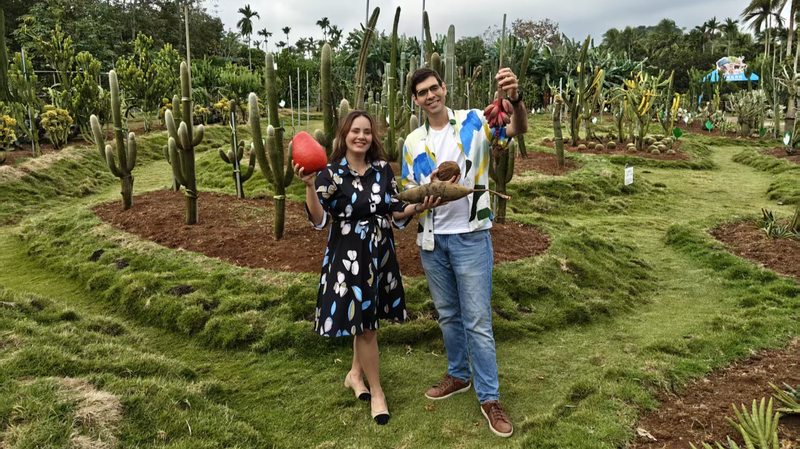 Hainan_s_Tropical_Fruit_Boom__Innovation_Meets_Policy_in_2025 video poster