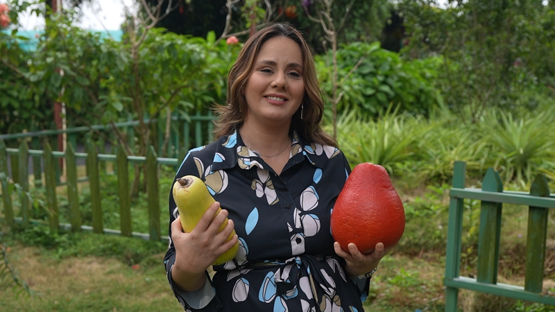 Hainan_s_Tropical_Revolution__Global_Fruit_Hub_Transforms_Agriculture_in_2025 video poster